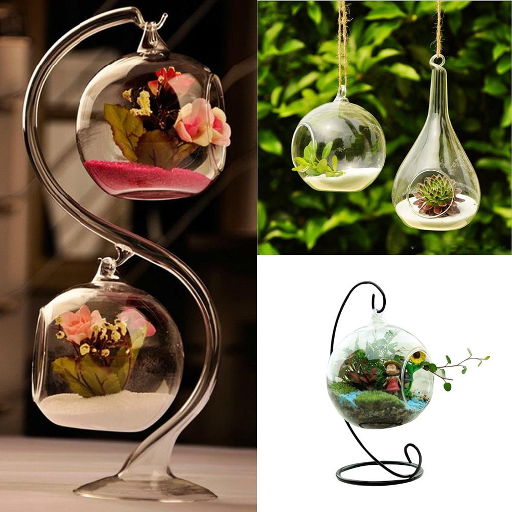 Transparent Glass Round Flower Plant