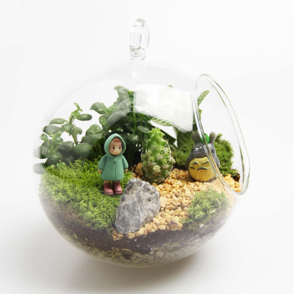 Transparent Glass Round Flower Plant